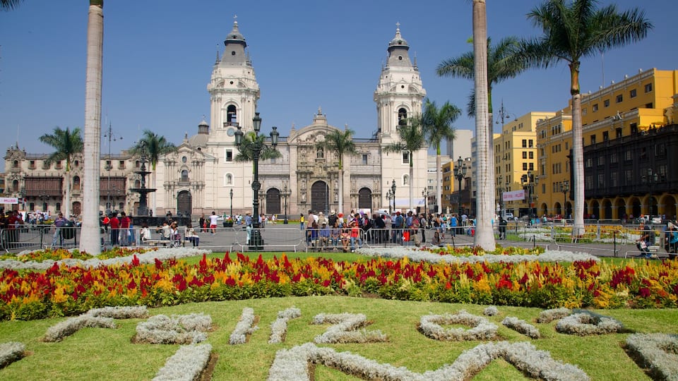 Plaza Mayor que incluye un jardín y flores