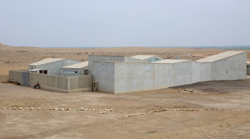 El Brujo showing desert views