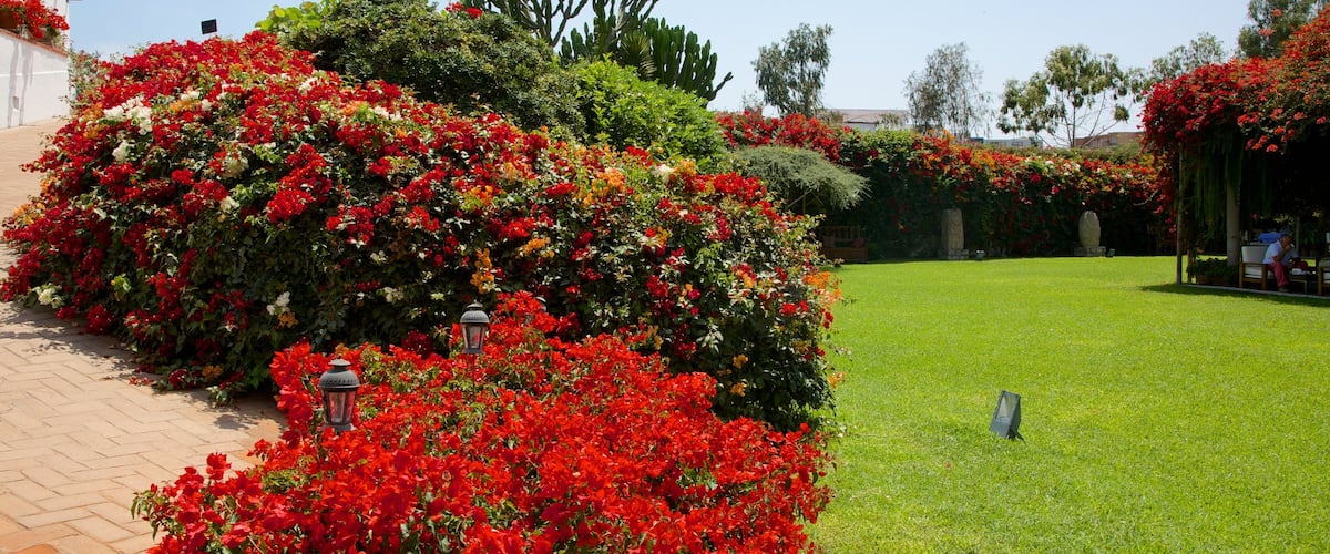 Larco Museum showing a garden and flowers