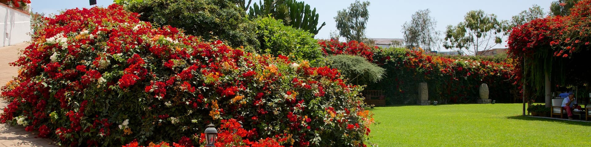 Larco Museum which includes flowers and a garden