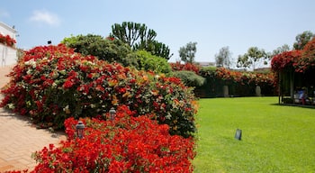 Museo Larco que incluye flores y un parque