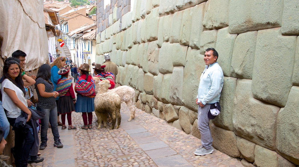 Hatunrumiyoc showing street scenes, cuddly or friendly animals and land animals