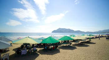 Playa Miramar montrant vues littorales et plage