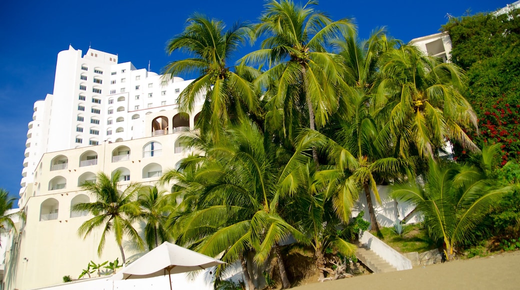 Playa La Audiencia which includes tropical scenes and a hotel