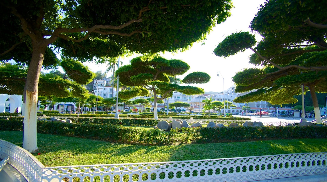 Zocalo ofreciendo jardín