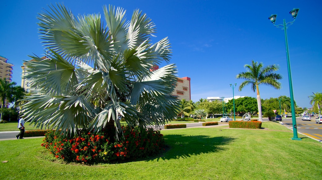 Ixtapa - Zihuatanejo showing flowers and a garden