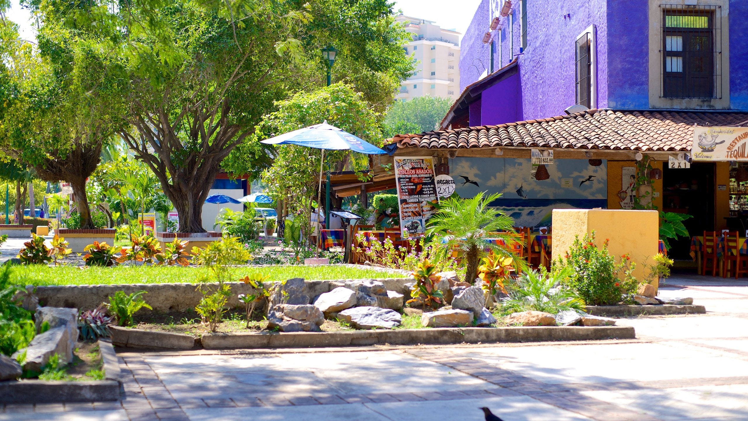 Ixtapa - Zihuatanejo showing street scenes