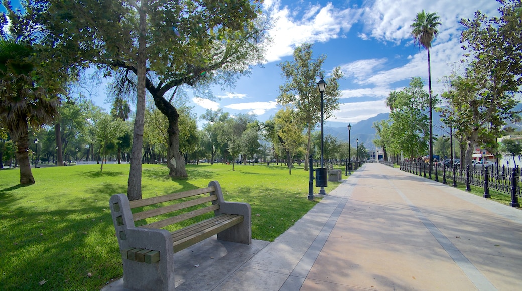 Alameda que incluye un jardín