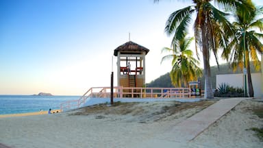 Chahue Beach which includes tropical scenes and a beach