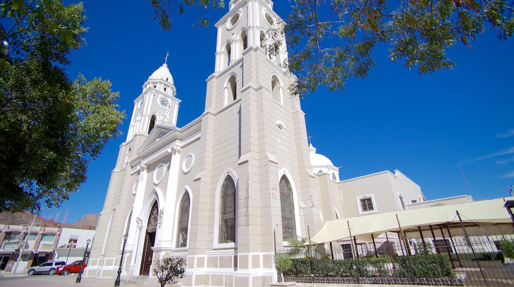 Katedralen San Fernando som visar gatuliv och en kyrka eller katedral