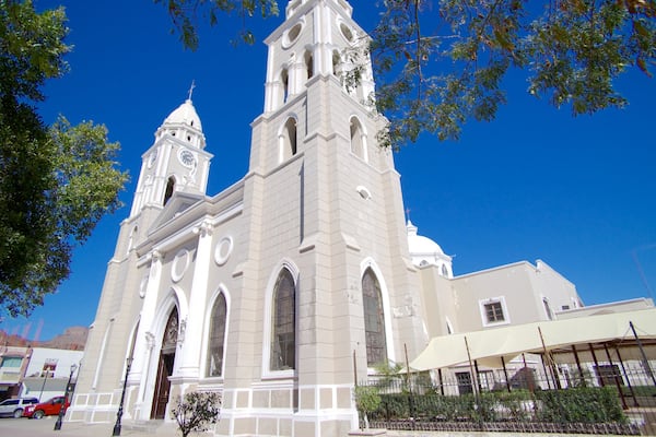 Église de San Fernando mettant en vedette scènes de rue et église ou cathédrale