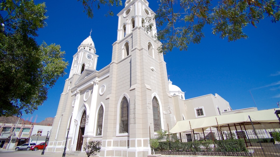 Templo de San Fernando inclusief een kerk of kathedraal en straten