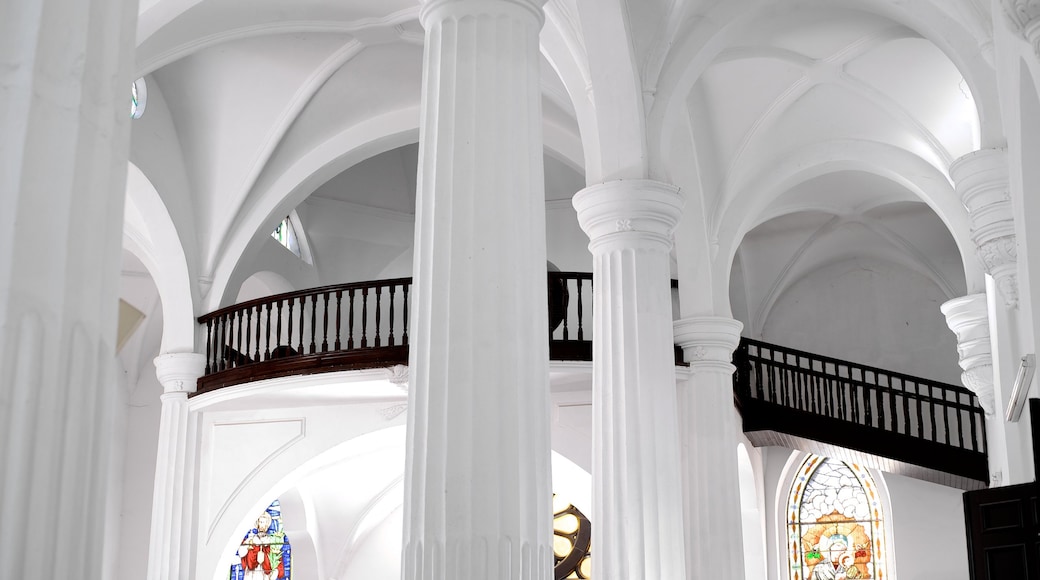 San Fernando Cathedral showing interior views and a church or cathedral