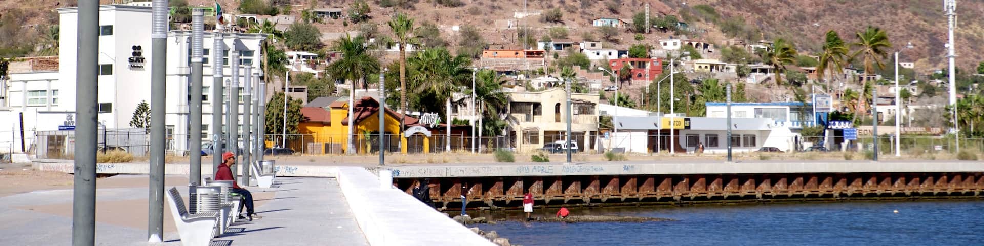The Fisherman showing a coastal town