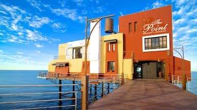 Puerto Penasco showing general coastal views and street scenes