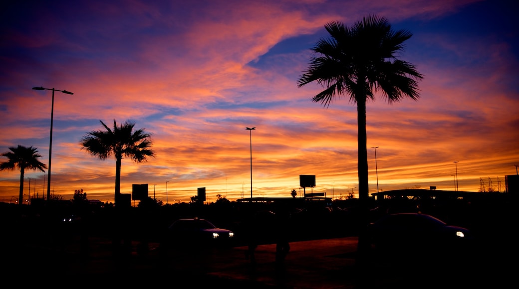 Hermosillo che include paesaggio tropicale e tramonto