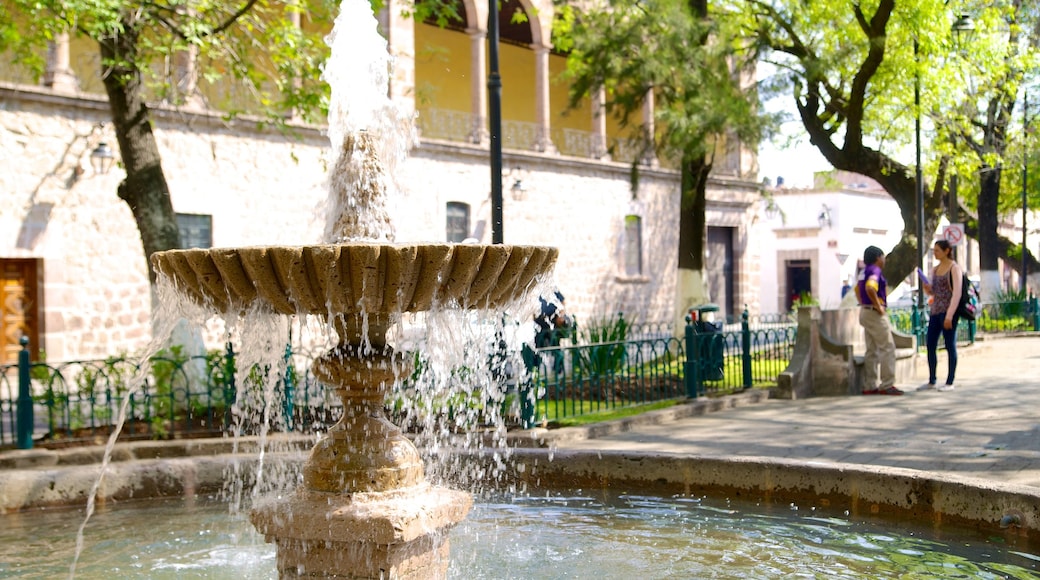 Rose Garden which includes a fountain and a garden