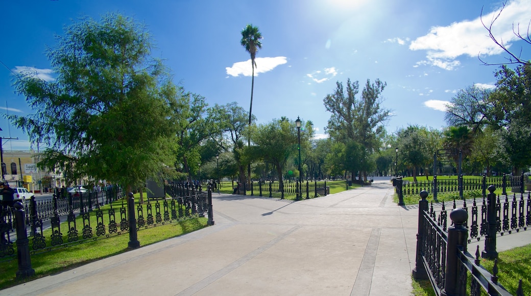 Alameda mostrando un jardín