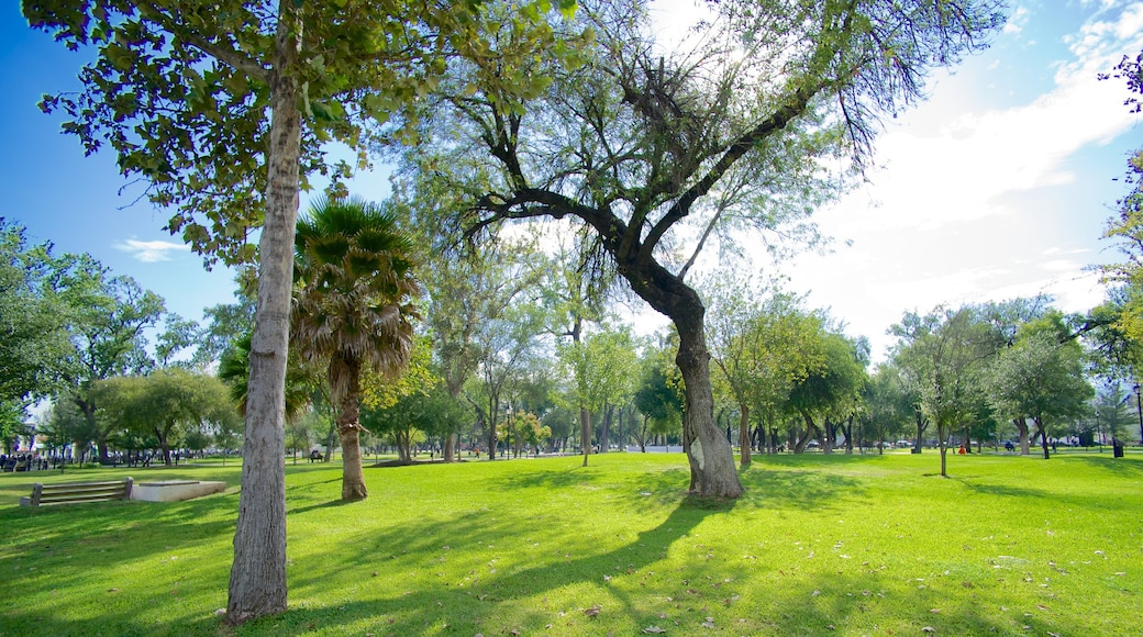 Alameda trong đó bao gồm khu vườn