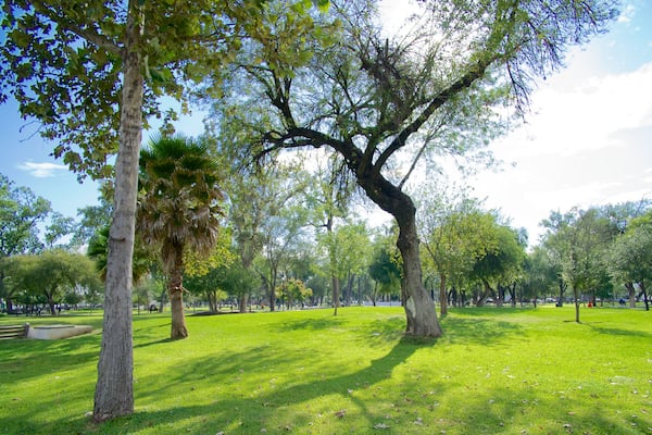 Alameda montrant jardin