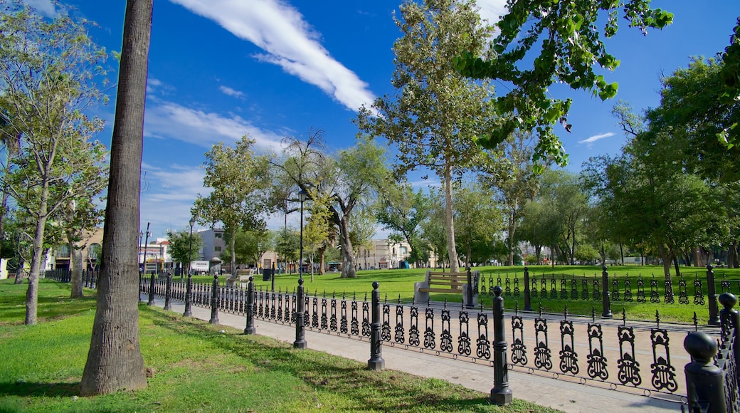 Alameda que incluye un parque