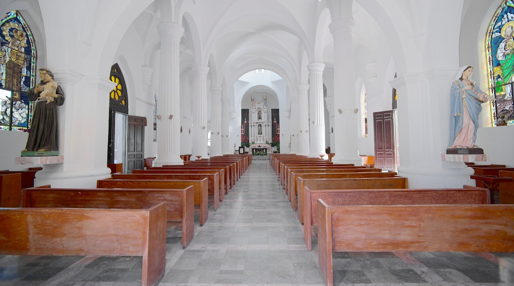 San Fernando Cathedral featuring interior views, religious aspects and a church or cathedral