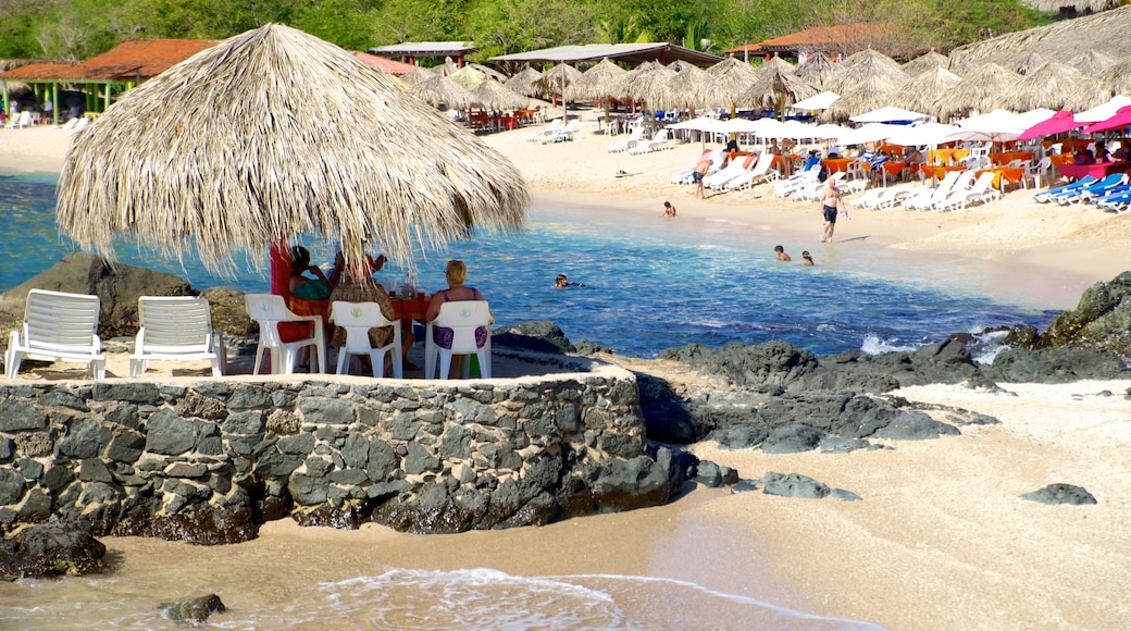 เกาะ Ixtapa ซึ่งรวมถึง หาดทราย, ทิวทัศน์เขตร้อน และ ชายฝั่งทะเล