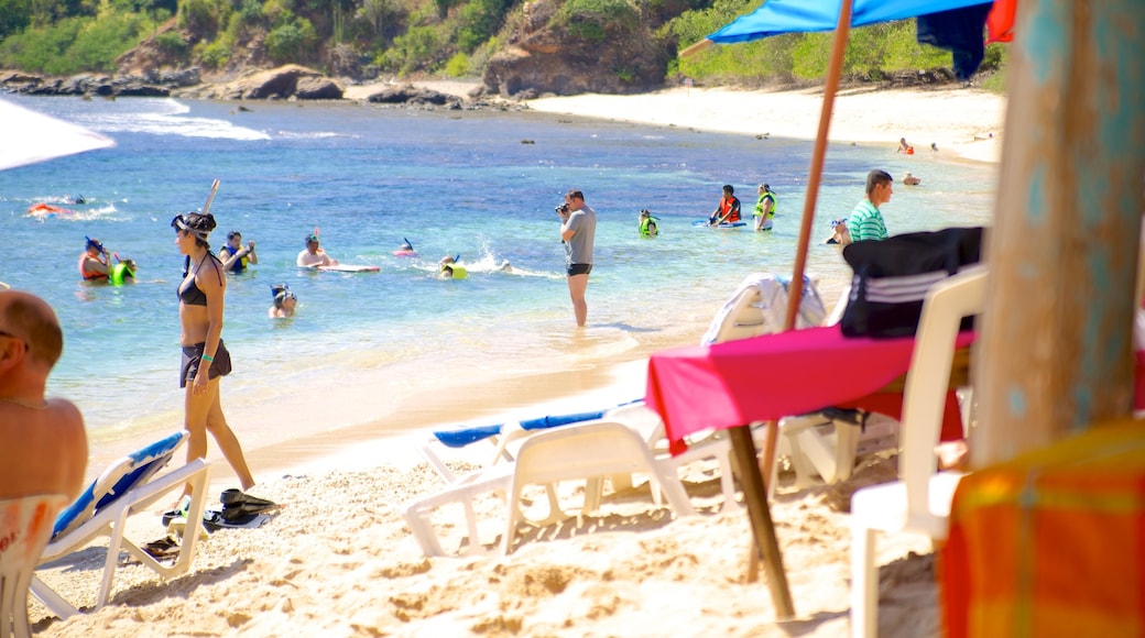 Ixtapa Island which includes tropical scenes, a sandy beach and swimming