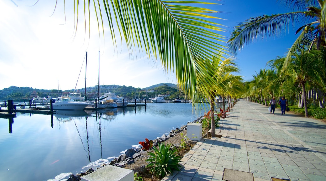 Marina Ixtapa which includes street scenes and tropical scenes