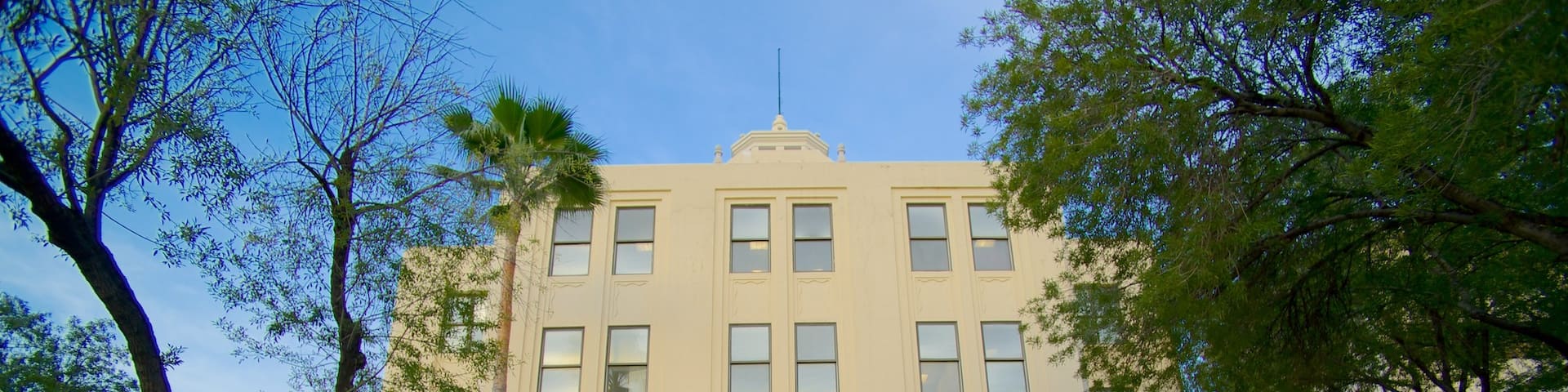Antiguo Palacio Federal featuring street scenes and a castle