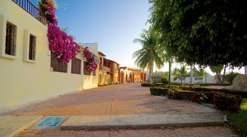 Spiaggia di Chahue caratteristiche di fiori e strade