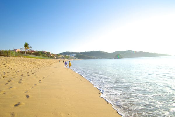 Zaachila Beach which includes a sandy beach