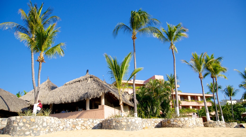 Zaachila Beach featuring general coastal views, a luxury hotel or resort and tropical scenes