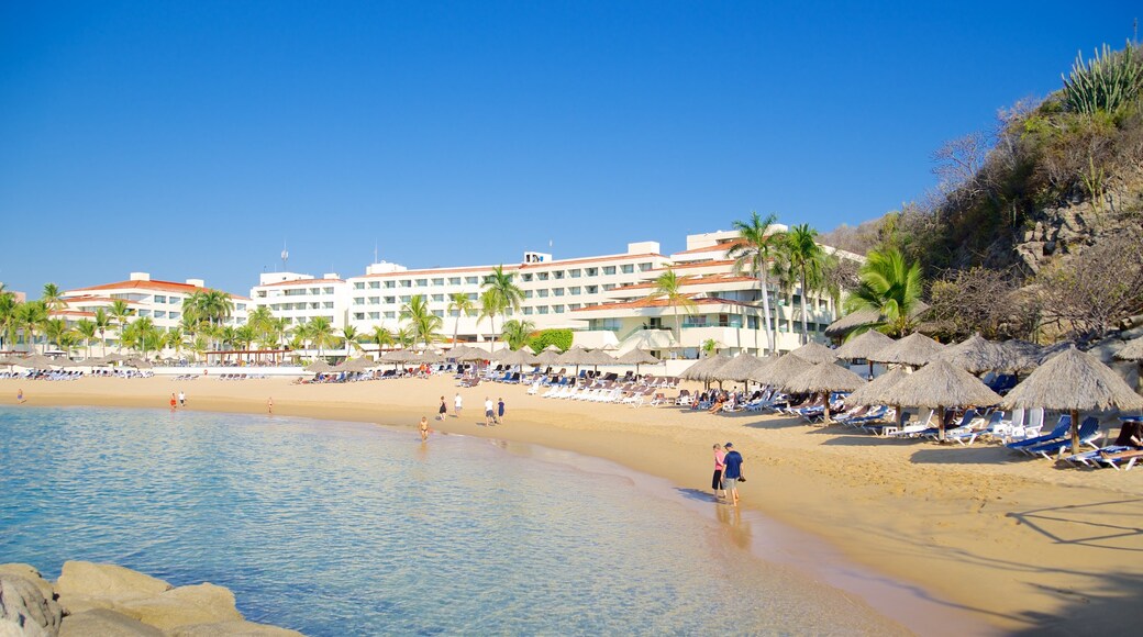 Zaachila Beach which includes tropical scenes, general coastal views and a beach