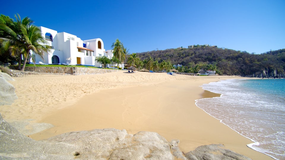 Zaachila Beach showing a sandy beach, tropical scenes and a coastal town