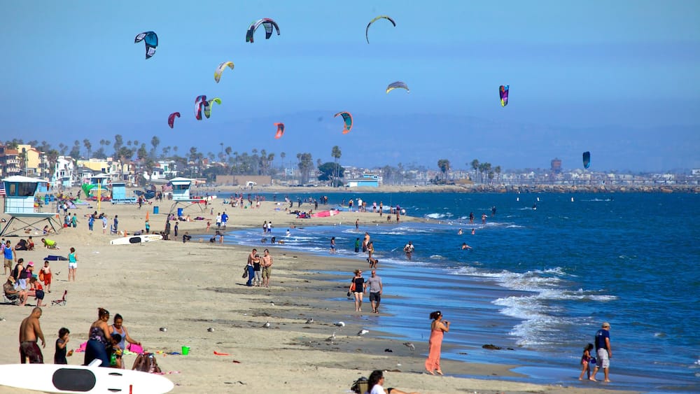 Long Beach montrant plage, vues littorales et kite surf