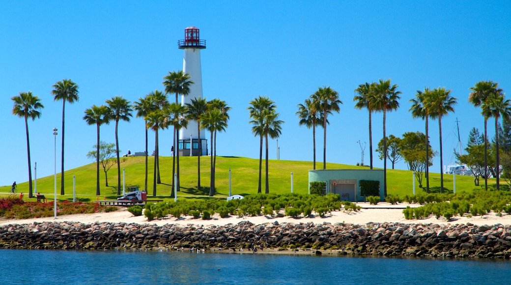 Long Beach que incluye escenas tropicales y vista general a la costa