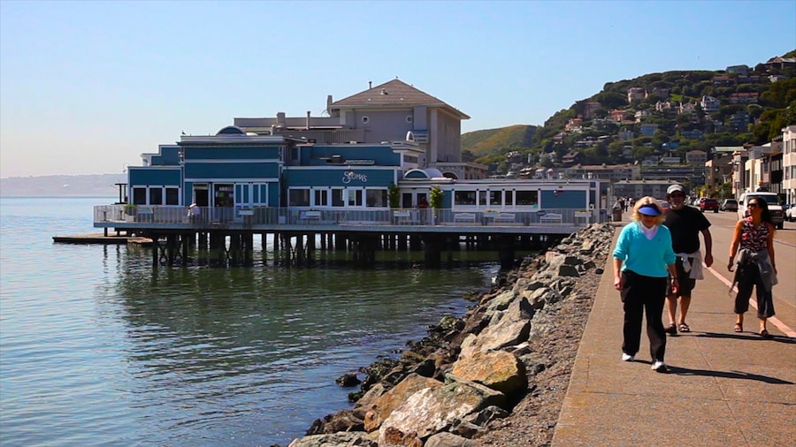 Sausalito which includes general coastal views as well as a small group of people