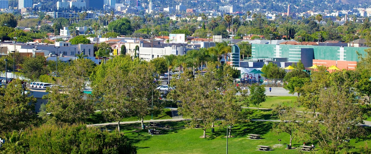The Grove featuring a city and landscape views