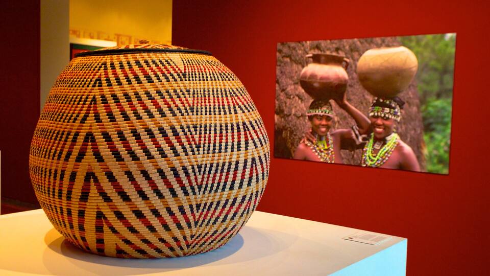 Orlando Museum of Art caracterizando vistas internas e arte