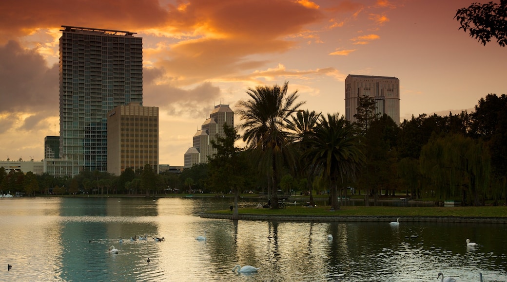 Lake Eola Park johon kuuluu kaupunki, auringonlasku ja järvi tai vesikuoppa