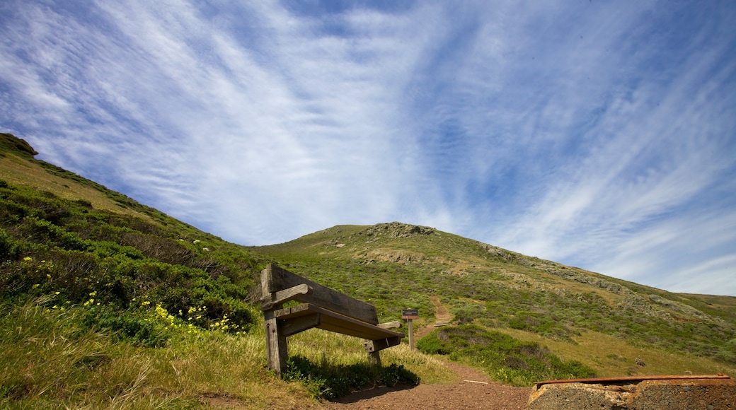 舊金山 设有 山岳