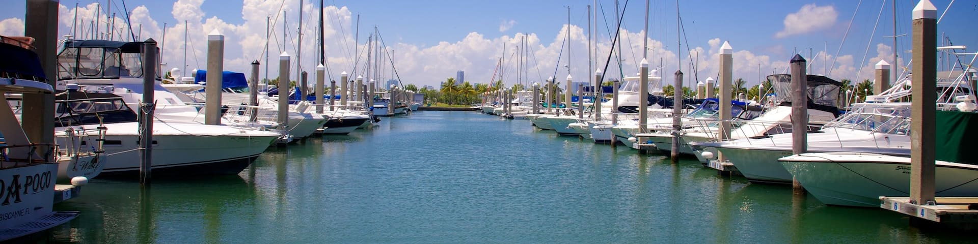 Crandon Marina which includes a marina