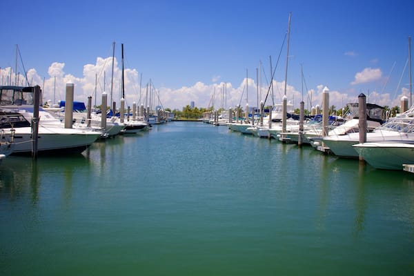Crandon Marina which includes a marina