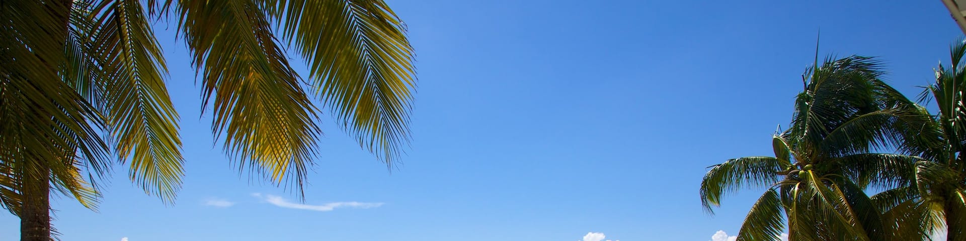 Crandon Marina featuring a bay or harbor