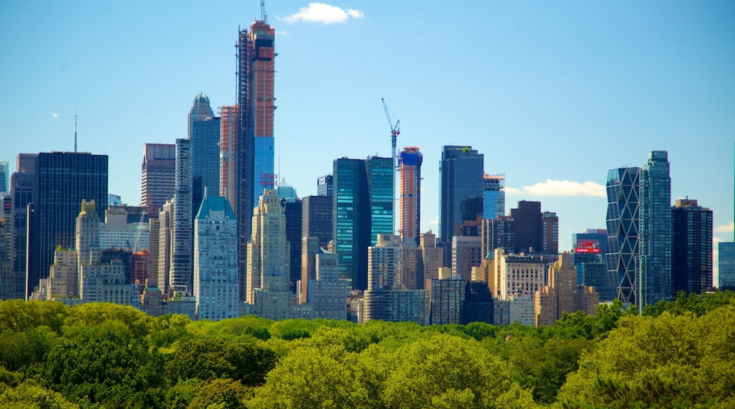 Metropolitan Museum of Art which includes central business district, skyline and a city