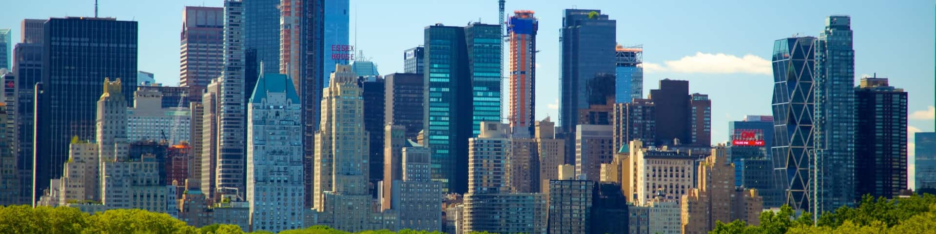 Metropolitan Museum of Art which includes skyline, a city and a skyscraper