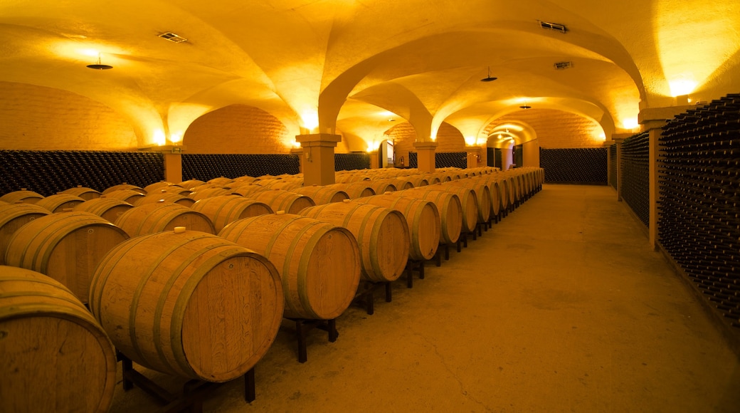 L.A. Cetto Wine Cellar showing interior views