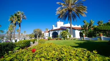 Ensenada featuring a garden