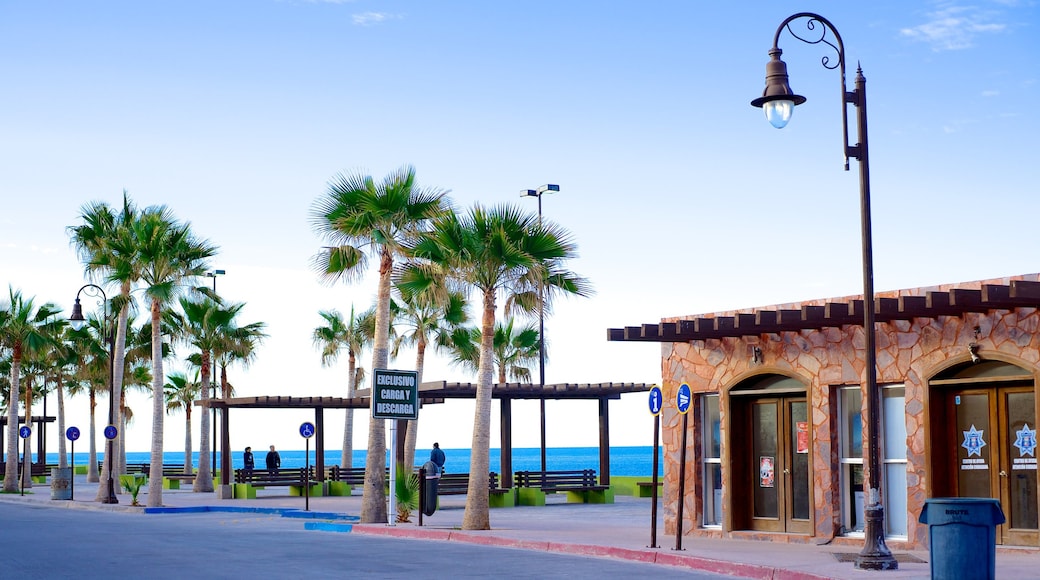 Puerto Peñasco mostrando escenas urbanas, escenas tropicales y una ciudad costera